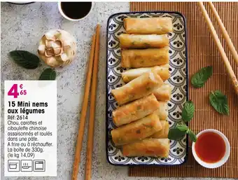 Croque Gel 15 Mini nems aux légumes offre