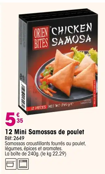 Croque Gel 12 Mini Samossas de poulet offre