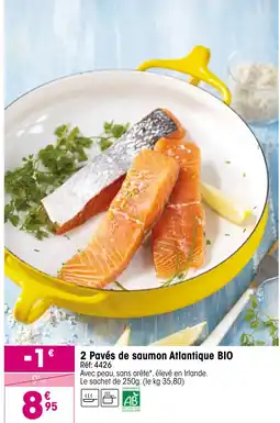 Croque Gel 2 pavés de saumon atlantique bio offre
