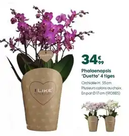 Carrefour Drive Fini - gorgonzola a.o.p offre