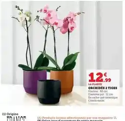 Carrefour Drive Treo - mozzarella di bufala campana a.o.p offre