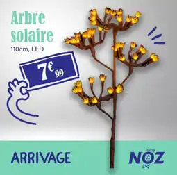 Noz Arbre solaire offre