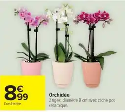 Cora x Carrefour Orchidée offre