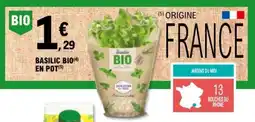 E.Leclerc BASILIC BIO EN POT offre