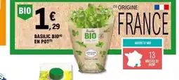 E.Leclerc Basilic bio en pot offre