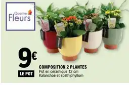 E.Leclerc Composition 2 plantes offre