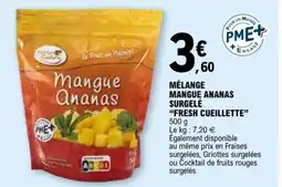 E.Leclerc Mélange mangue ananas surgelé offre