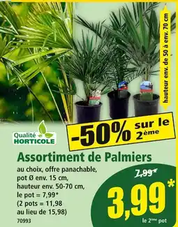 Norma Qualité Horticole Assortiment de Palmiers offre
