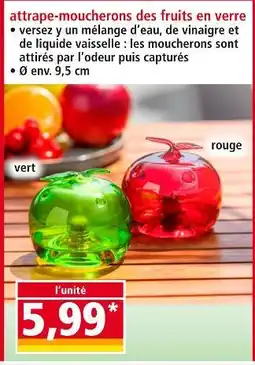Norma Attrape-moucherons des fruits en verre offre