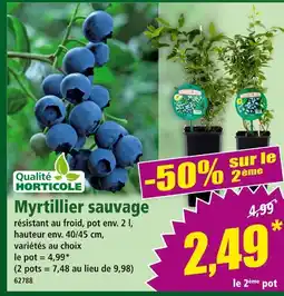 Norma Qualité Horticole Myrtillier sauvage offre