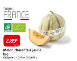 Colruyt Melon charentais jaune bio offre