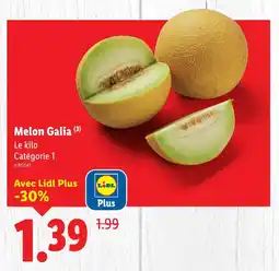 Lidl Melon galia offre