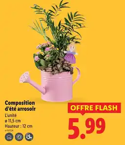 Lidl Composition d’été arrosoir offre