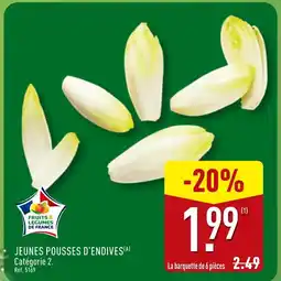 ALDI Jeunes pousses d'endives offre
