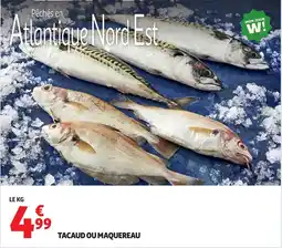 Auchan Tacaud ou maquereau offre
