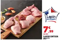 Bi1 Lapin entier nu offre