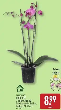 ALDI Gardenline orchidée 3 branches offre