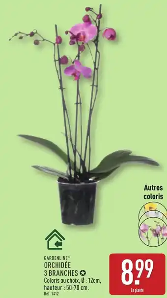 ALDI Gardenline orchidée 3 branches offre