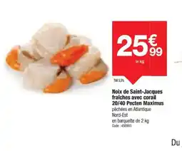 Promocash Noix de Saint-Jacques fraîches avec corail offre