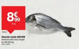 Promocash Daurade royale offre