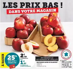 Bi1 Nectarhin jaune ou blanche offre