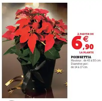 U Express Poinsettia offre