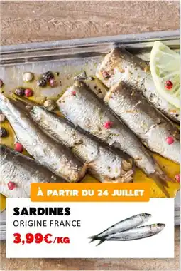 Hmarket Sardines offre