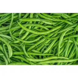 Carrefour Haricot vert FILIERE QUALITE CARREFOUR offre