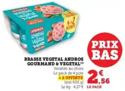 Hyper U BRASSE VEGETAL ANDROS GOURMAND & VEGETAL offre