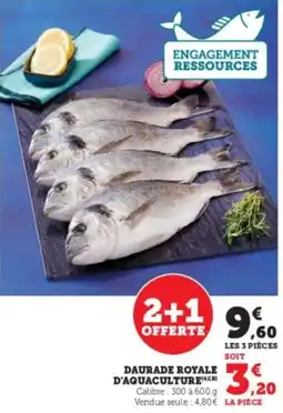 Hyper U Daurade royale d'aquaculture offre