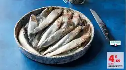 Hyper U Sardine offre