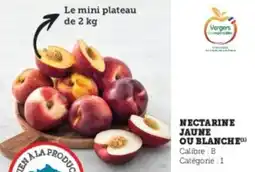 Hyper U Nectarine jaune ou blanche offre