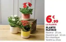 Super U Plante fleurie offre