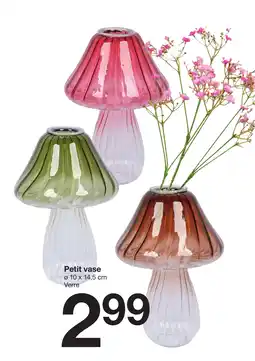 Zeeman Petit vase offre