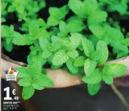 E.Leclerc MENTHE BIO offre
