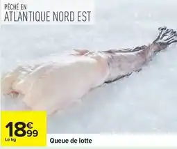 Carrefour Express Queue de lotte offre