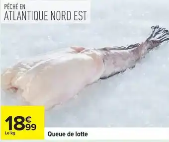 Carrefour Express Queue de lotte offre