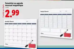 Lidl Crelando - semainier ou agenda mensuel magnétique offre