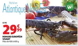Auchan Homard européen vivant offre