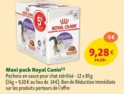 Maxi Zoo Royal Canin Maxi pack offre