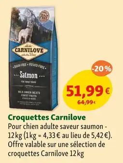 Maxi Zoo Carnilove Croquettes offre