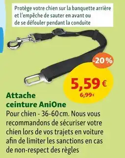 Maxi Zoo AniOne Attache ceinture offre