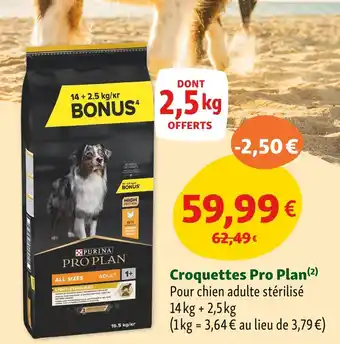 Maxi Zoo Pro Plan Croquettes offre