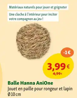 Maxi Zoo AniOne Balle Hanna offre