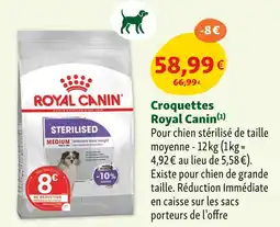Maxi Zoo Royal Canin Croquettes offre