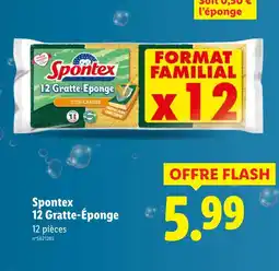 Lidl SPONTEX 12 Gratte-Éponge offre