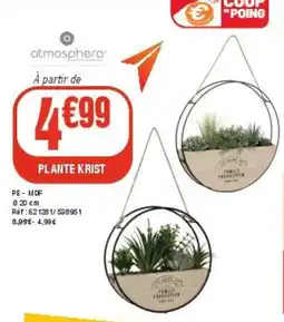 La Foir'Fouille Plante krist offre