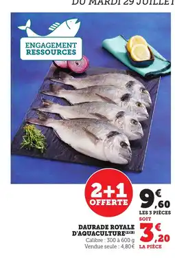 Bi1 Daurade royale d'aquaculture offre