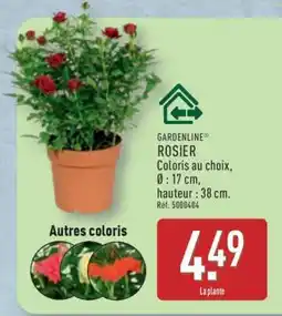 ALDI GARDENLINE ROSIER offre