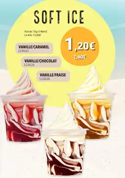 Gel 2000 Soft ice offre